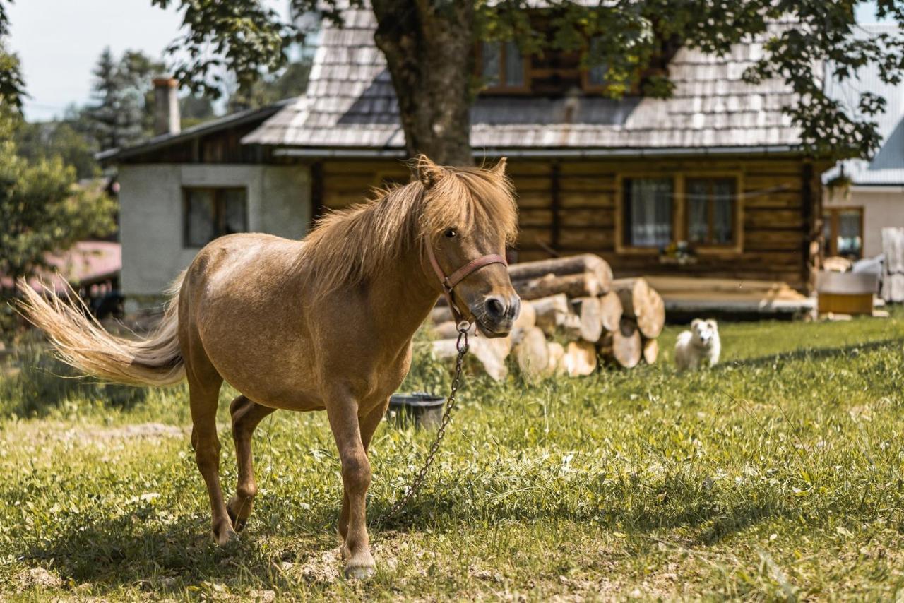 DW Maria 2 Bed and Breakfast Zakopane Buitenkant foto