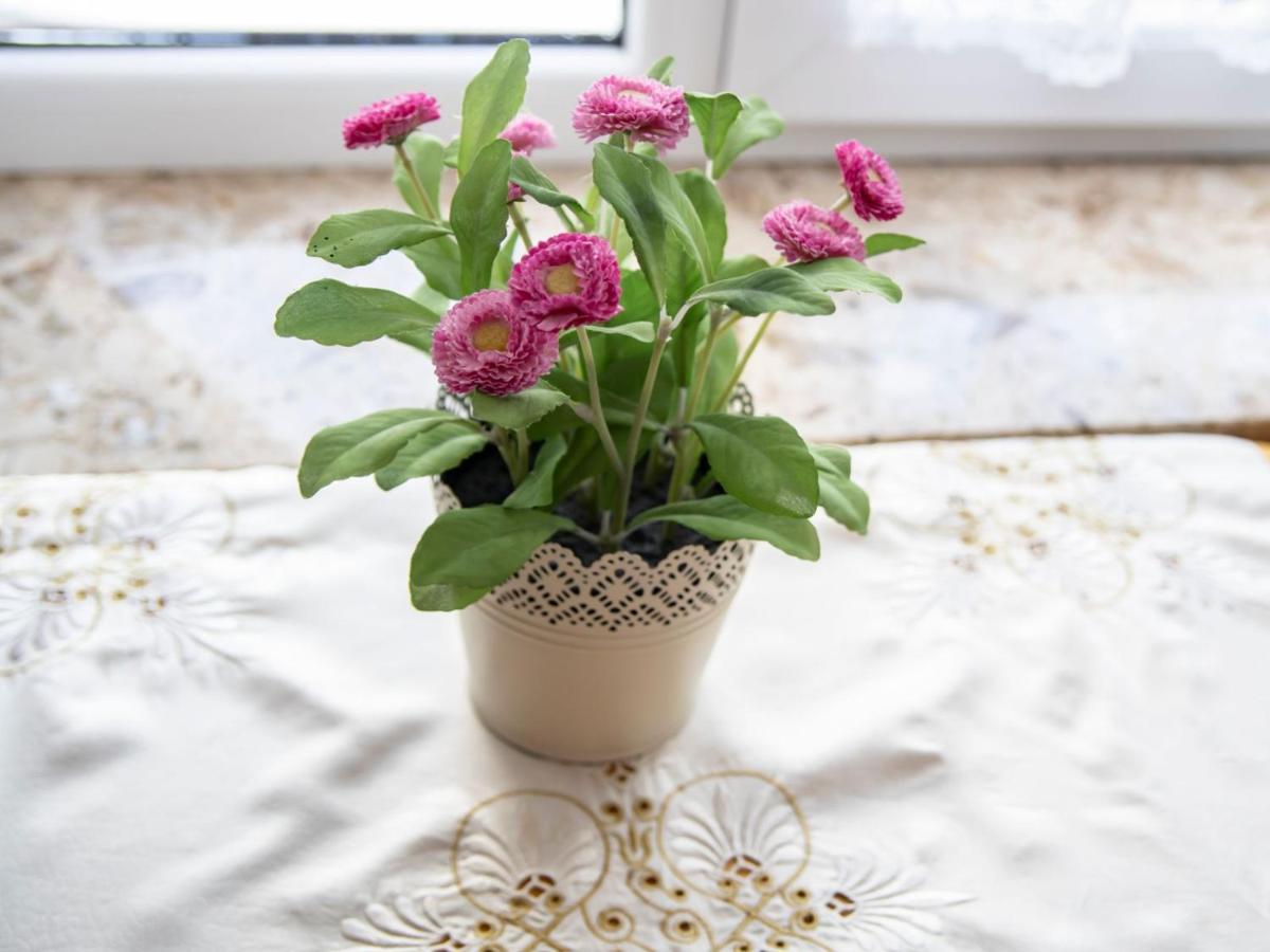 DW Maria 2 Bed and Breakfast Zakopane Buitenkant foto
